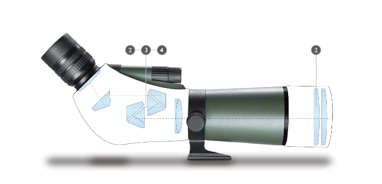 info-789-381 info-789-381